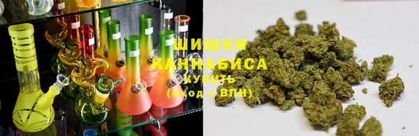 крисы Зерноград