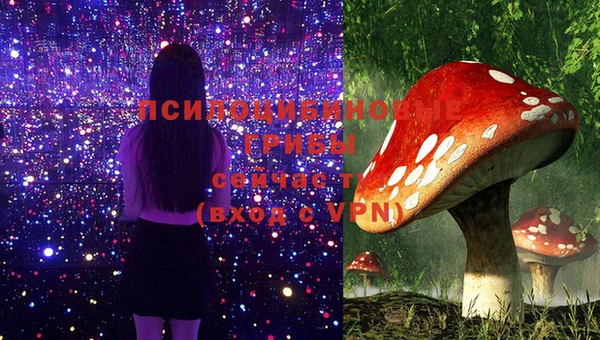 крисы Зерноград