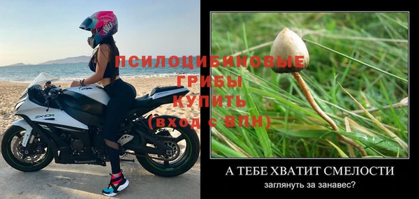 мет Зеленодольск