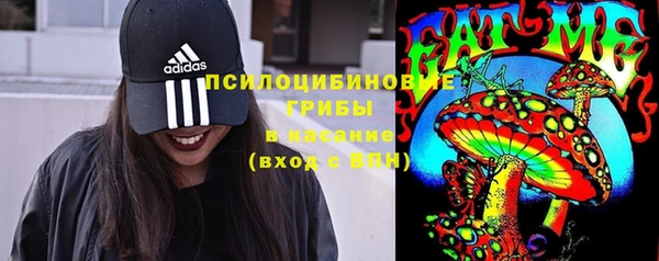 мет Зеленодольск