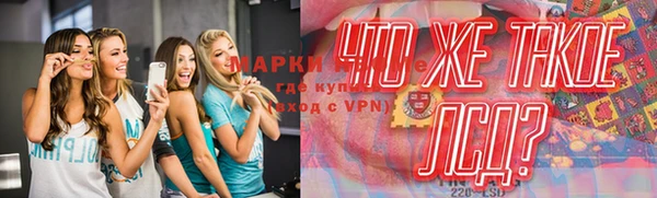 крисы Зерноград