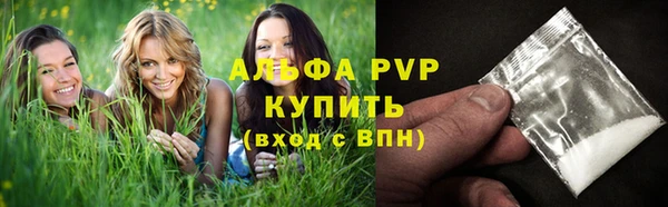 крисы Зерноград