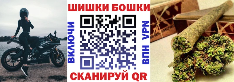 Купить закладки  Каргополь  Конопля сатива 